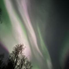 Taika the Arctic Gem with Sauna, Glazed Balcony & Free Parking