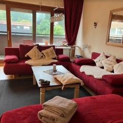 Schönwald center, Swimming-pool, sauna, parking free