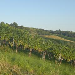 Private Longevity Retreat