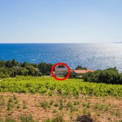 Family friendly seaside apartments Dingac - Borak, Peljesac - 18060