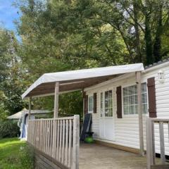 Mobil home avec Terrasse - 6 pers - Confort à Grand-Serre - API-1-52-536