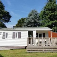 Mobil-home confortable avec terrasse à La Couarde - API-1-52-1305