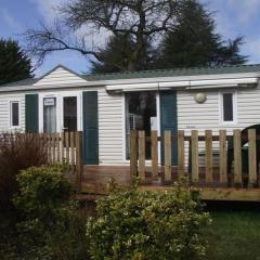 Mobil-home confortable avec terrasse à Bieuzy - API-1-52-1307