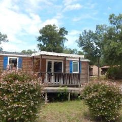 Mobil home 26m² avec terrasse à Soustons, camping nature - API-1-52-1345