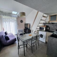 Maison rénovée proche plage, terrasse, animaux acceptés - FR-1-194-360