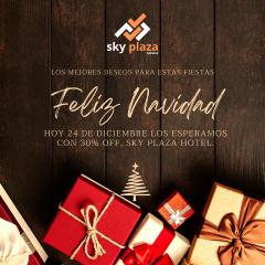 Hotel Sky Center-Plaza de Osorno