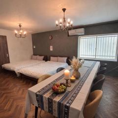 Memories Trip OSAKA NIHONBASHI 最大10名様宿泊可能