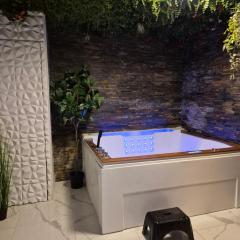 Appartement Spa&Sauna privé proche de la cité médiévale