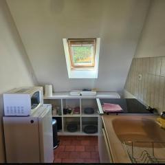 T2 historique Saumur centre, wifi