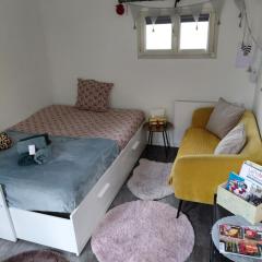 Studio promenade bord de Seine Rouen