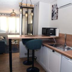 Confortable studio avec jardin