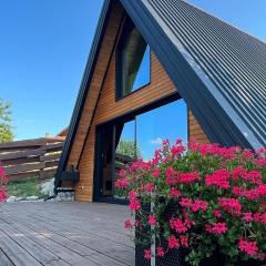 Rustic villa Roza with outdoor pool in Kupjak