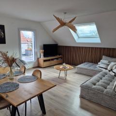 Sublime appartement 100m2 avec grande terrasse