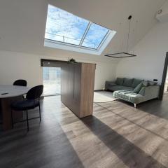 Nemunas River View Apartment