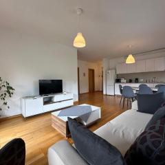 Golden Goose Apartment