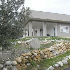 BeB Nido degli Ulivi