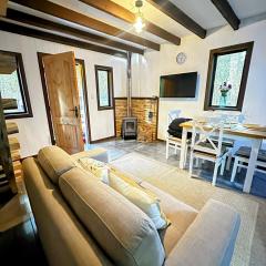 Bosque nativo a 10 min Termas Geométricas y Playa