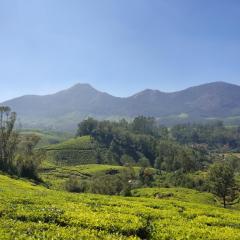 Munnar Valley View Annex