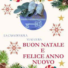 La casa di Viola - Trastevere