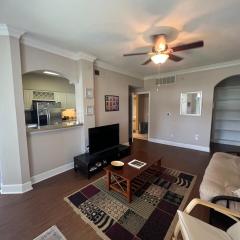 Blackburn Katy Trail