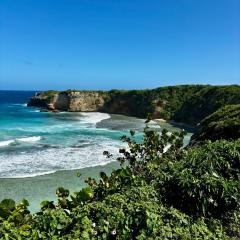 D O M A I N E D E L' A N S E - P I S T O L E T - Proche Grande Vigie, Vue Unique