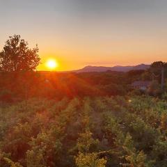 Isola Natura Farm Retreat Sardinia