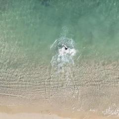 Z-Villas Beach Hotel