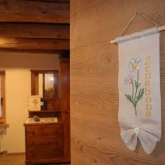 Ciesa Le Crepedele-Miniappartamento Zenabona