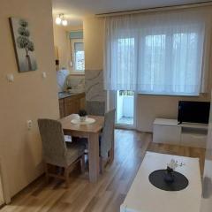 Apartment Goga