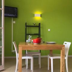 Maison cosy avec terrasse au Carla-Bayle - API-1-52-1369