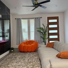 Luxury Downtown 4 Bedroom Home