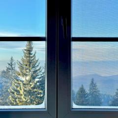 Apartman v Beskydech