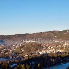 Ski Alm - Ferienwohnung