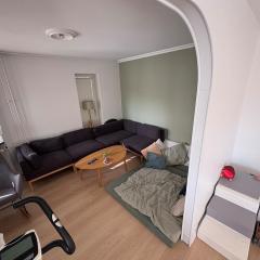 120 m2 newly renovated apartment