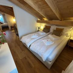 Swiss Horizon - Penthouse mit Aussicht & Liftnähe auf 2 Etagen