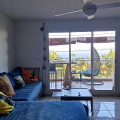 Petit jardin suspendu