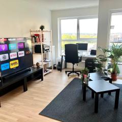 Lovely Family-Friendly Steps from Atomium - City Center 6 min