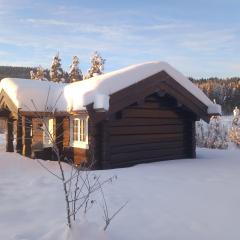 Krøderen Laftet tømmerstue fra 2021