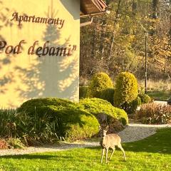 ApartamentyKudowa - Willa Pod Dębami z ogrodem i parkingiem,