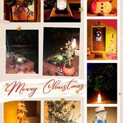 Pelion Malaki- Casa Verde