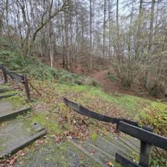 La Mésange Apprivoisée