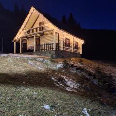 Лісовий котедж