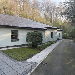 The Mews near Betws y Coed