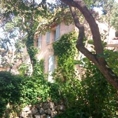 Charmant bastidon Provençal