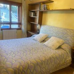 Apartamento céntrico, destino Sallent de Gallego