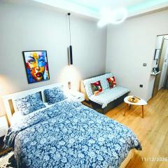 Elegant Central Studio 2 free wifi and Netflix