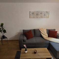 Appartement cosy a Erlach - Lac de Bienne