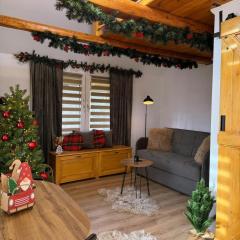 EscapeTinyCabin by IezerVenture