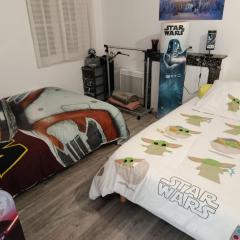maison luxe star wars aeroport beauvais tille 2 a 5 personnes
