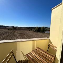 Alojamento Local Pando